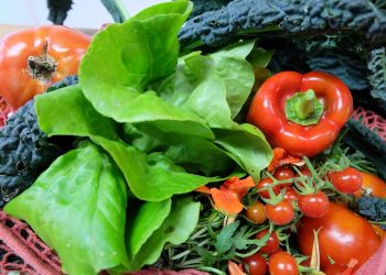 Fresh vegetables including tomatoes, kale, and red bell pepper in a basket.
