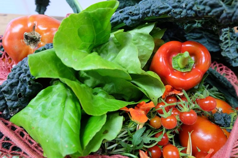 Fresh vegetables including tomatoes, kale, and red bell pepper in a basket.