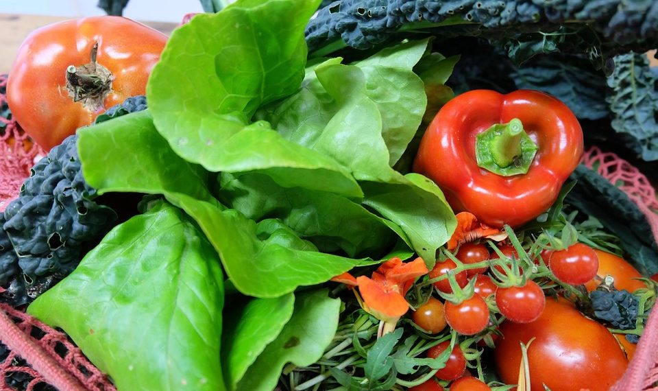 Fresh vegetables including tomatoes, kale, and red bell pepper in a basket.