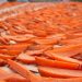 Drying sliced persimmons in the sun on a bamboo mat.