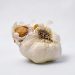 Garlic bulb with peeled cloves exposed.