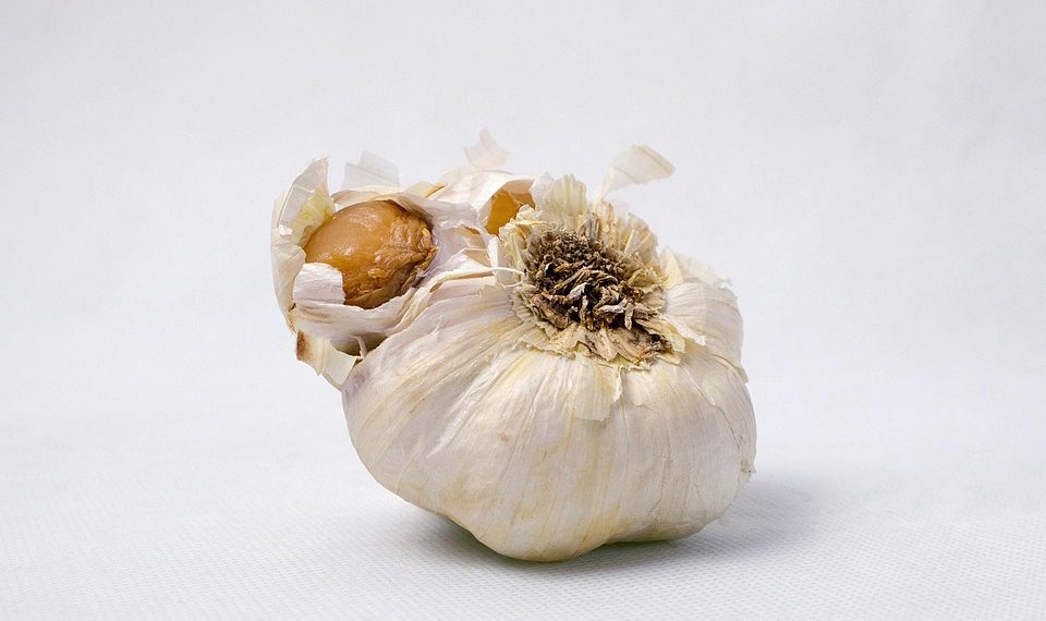 Garlic bulb with peeled cloves exposed.
