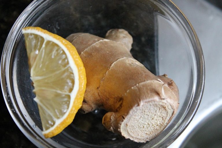 Ginger root and lemon slice in a glass bowl.