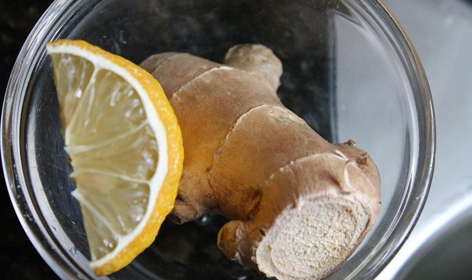 Ginger root and lemon slice in a glass bowl.