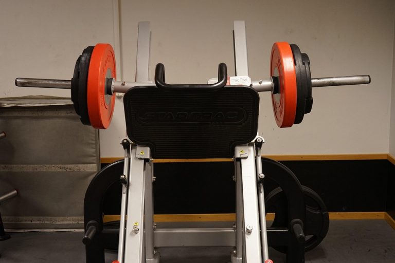 Barbell setup on gym squat machine.