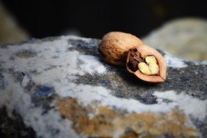 Cracked walnut resting on a textured rock.