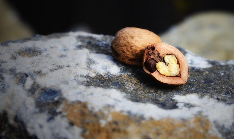Cracked walnut resting on a textured rock.