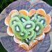 Kiwi and tangerine slices artfully arranged on a decorative platter.