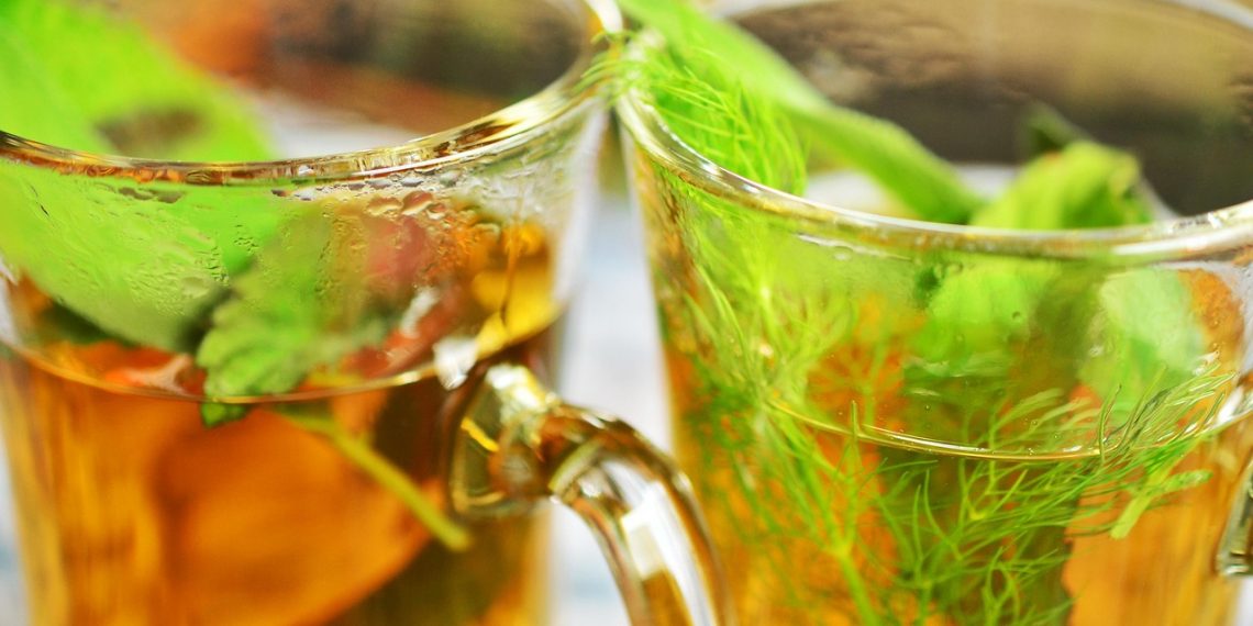 Herbal tea with fresh mint leaves in glass cups.