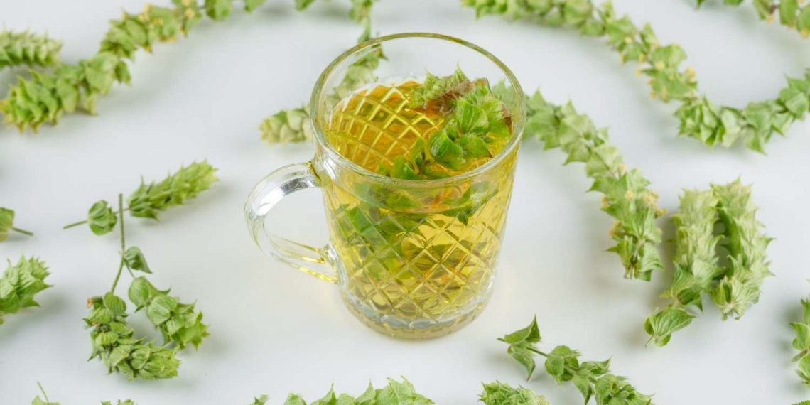 Greek mountain tea in glass mug surrounded by dried herbs.