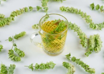 Greek mountain tea in glass mug surrounded by dried herbs.