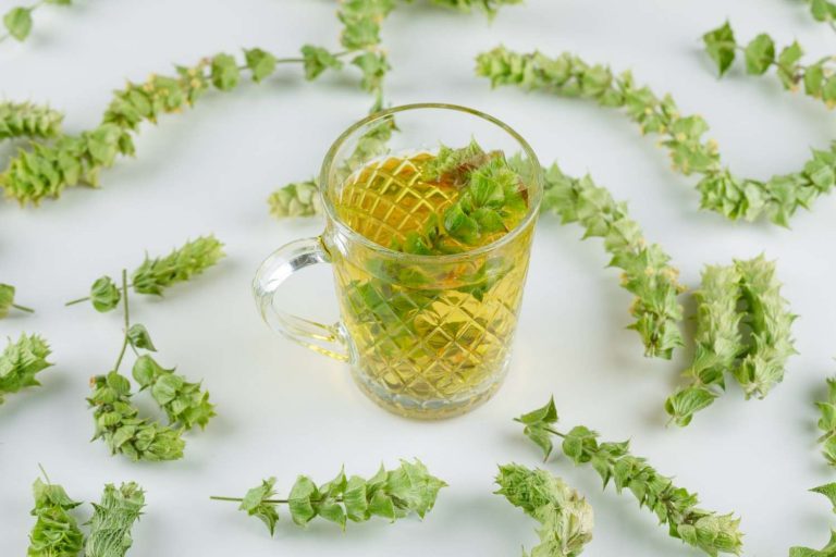 Greek mountain tea in glass mug surrounded by dried herbs.