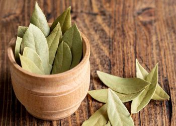 Dried bay leaves in a wooden bowl on a rustic wooden surface.