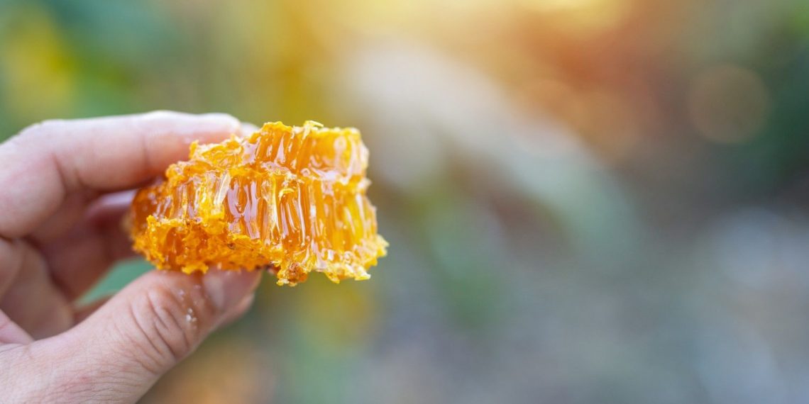 Hand holding fresh honeycomb against blurred background.