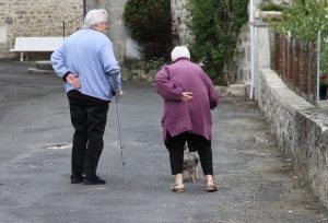 Elderly couple walking with a small dog on a village street.