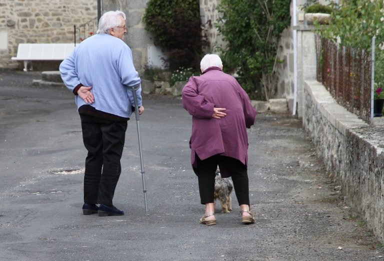 Elderly couple walking with a small dog on a village street.