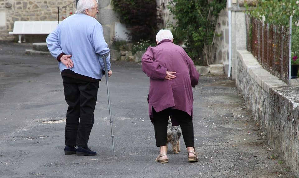 Elderly couple walking with a small dog on a village street.