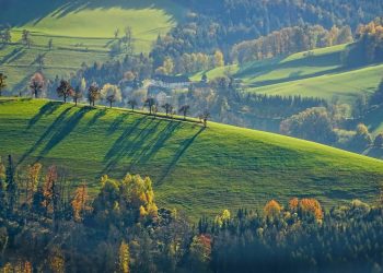 Rolling green hills with autumn trees in sunlight.