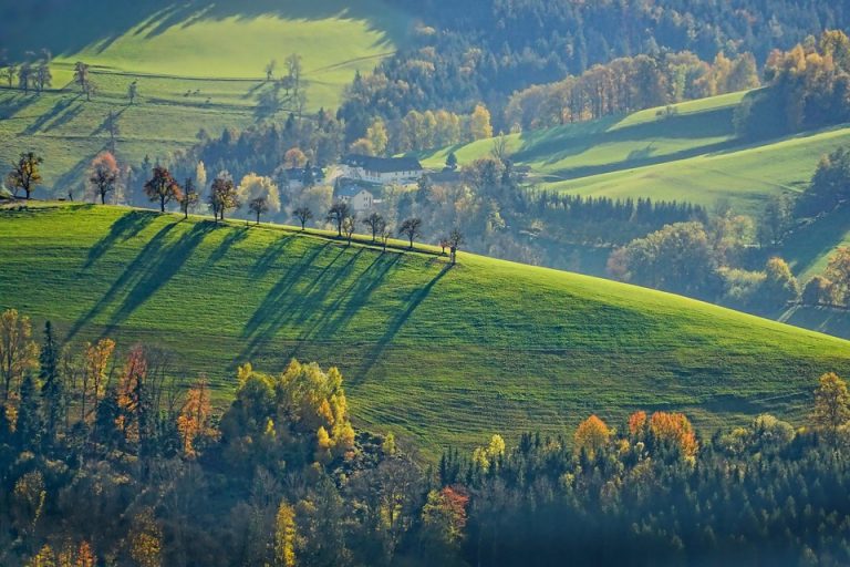 Rolling green hills with autumn trees in sunlight.