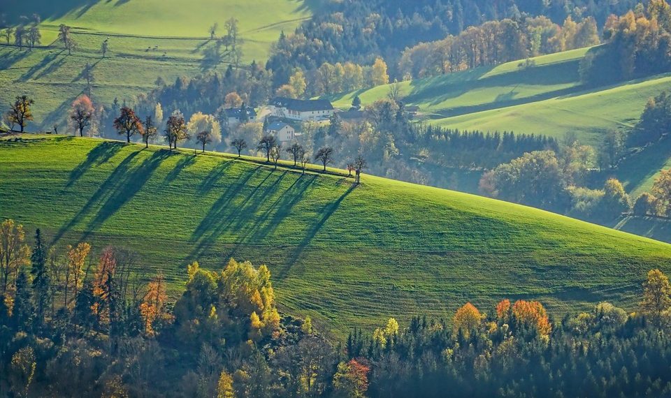 Rolling green hills with autumn trees in sunlight.