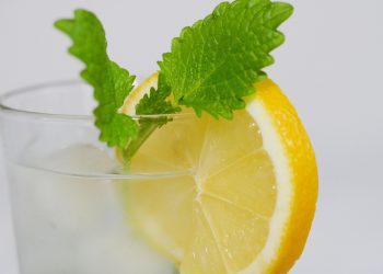 Refreshing drink with lemon slice and mint leaves.