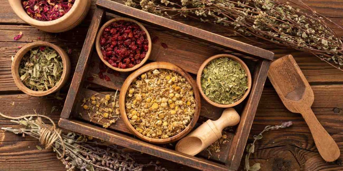Assorted dried herbs in wooden bowls, perfect for {focus_keyword} herbal remedies.