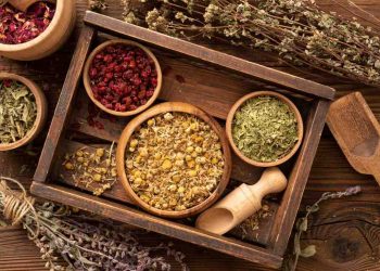 Assorted dried herbs in wooden bowls, perfect for {focus_keyword} herbal remedies.