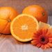 Oranges and sliced citrus with an orange Gerbera daisy.