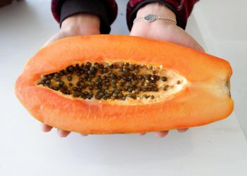 Hands holding a ripe papaya with seeds inside.