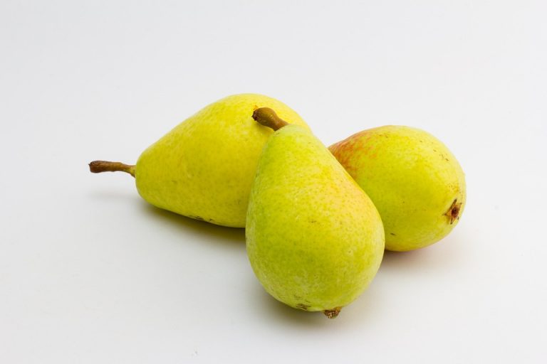 Three fresh yellow pears on a white background.