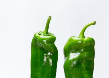 Two fresh green bell peppers on a white background.