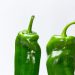 Two fresh green bell peppers on a white background.