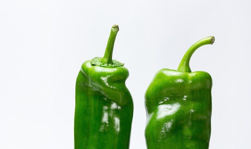 Two fresh green bell peppers on a white background.