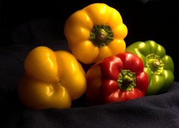 Mixed bell peppers on dark fabric showcasing fresh, vibrant colors.