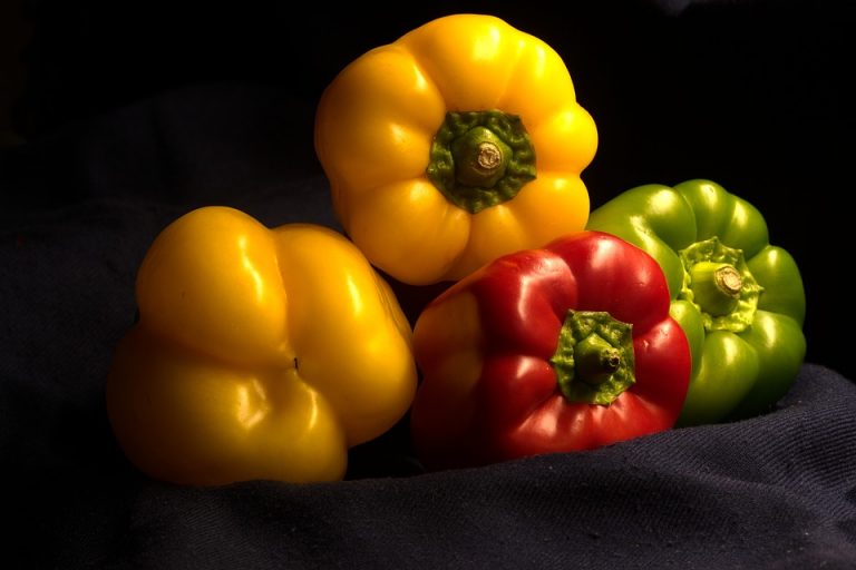 Mixed bell peppers on dark fabric showcasing fresh, vibrant colors.
