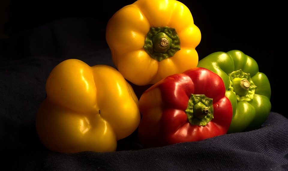 Mixed bell peppers on dark fabric showcasing fresh, vibrant colors.