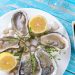 Oysters served on a plate with lemon wedges and dipping sauces.