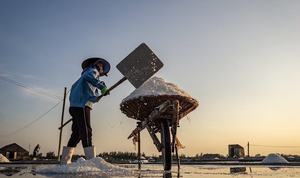 Salt farmer shoveling salt at sunrise in a salt field.