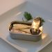 Tin of sardines on a white plate with parsley garnish.