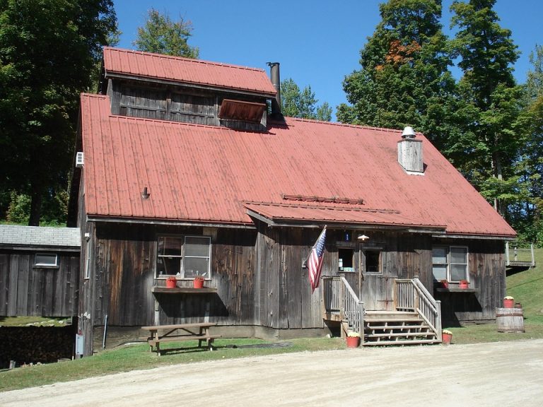 Rustic cabin with red roof and American flag, surrounded by trees.