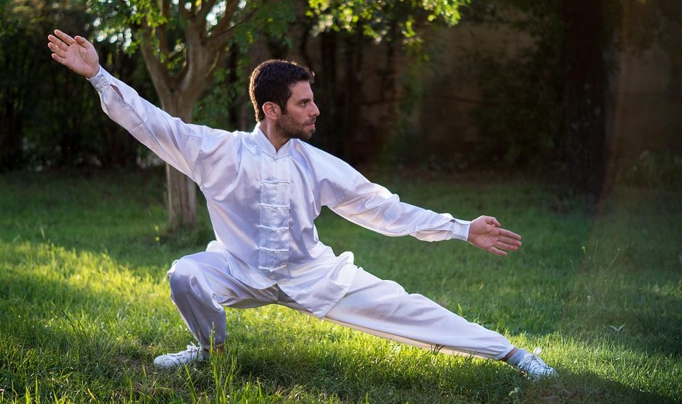 Man practicing Tai Chi in a park.