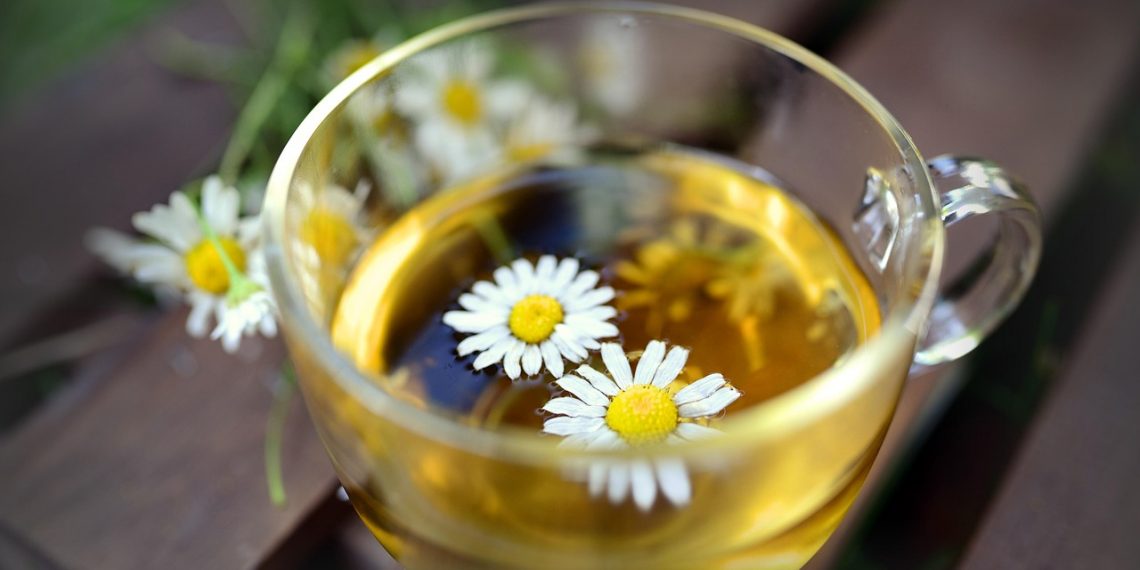 Chamomile flowers floating in a cup of herbal tea.