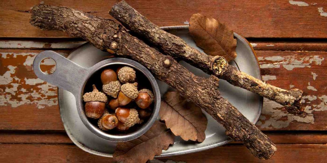 Acorns and sticks on rustic table setting.