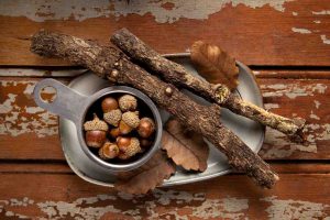 Acorns and sticks on rustic table setting.