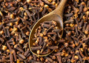 Dry cloves on a wooden spoon, ideal for cooking spices.