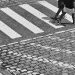 Pedestrians crossing a cobblestone street at a zebra crossing.