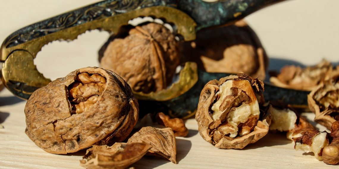 Cracked walnuts with nutcracker on wooden table.