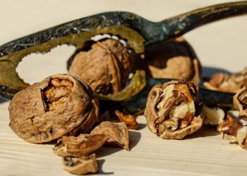 Cracked walnuts with nutcracker on wooden table.