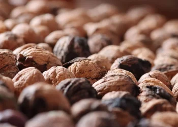 Shelled walnuts in a pile, highlighting texture.