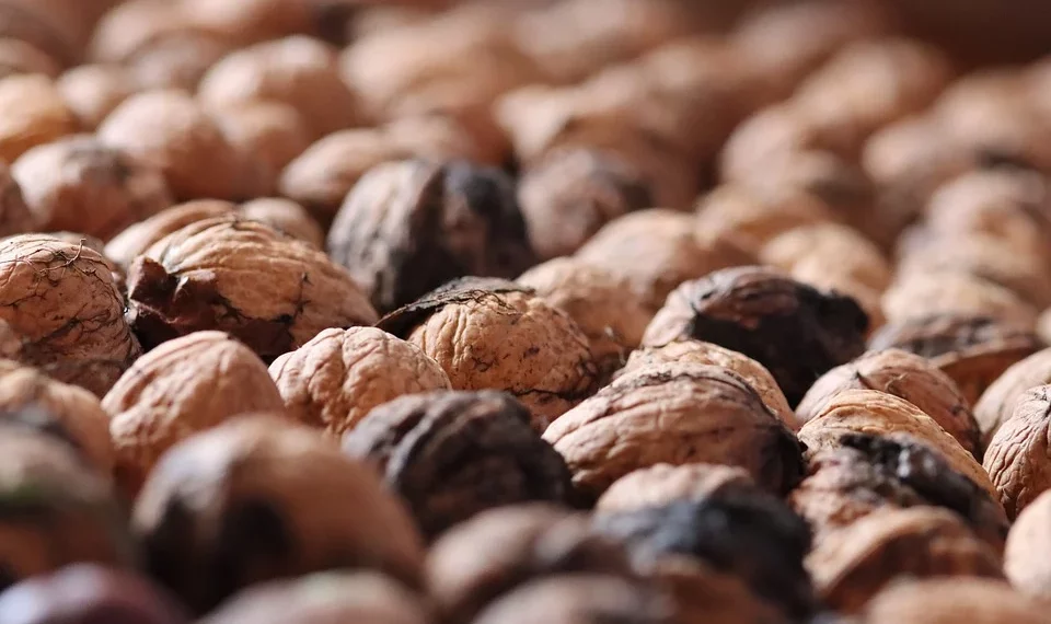 Shelled walnuts in a pile, highlighting texture.